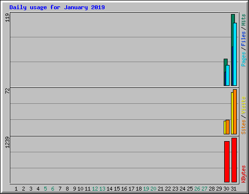 Daily usage for January 2019