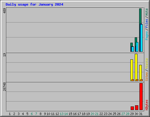 Daily usage for January 2024