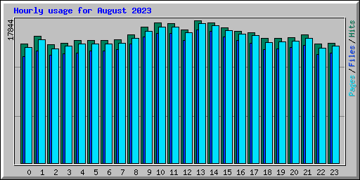 Hourly usage for August 2023