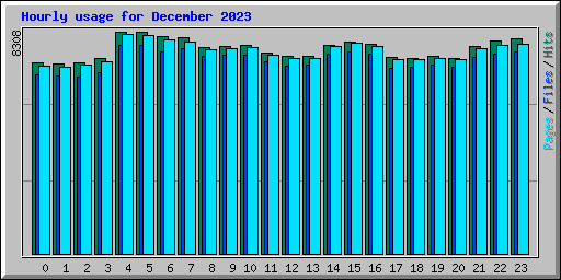 Hourly usage for December 2023