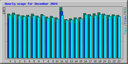 Hourly usage for December 2024