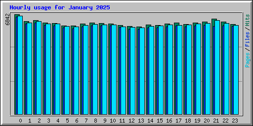 Hourly usage for January 2025