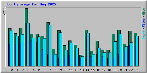 Hourly usage for May 2025