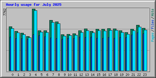 Hourly usage for July 2025