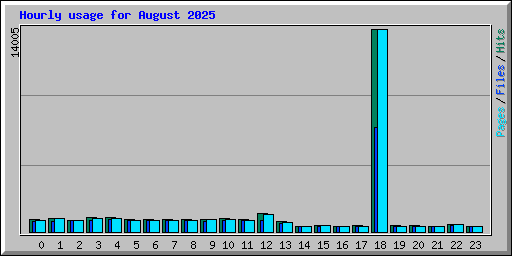 Hourly usage for August 2025
